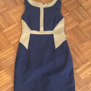 Ann Taylor Navy and Beige Dress Size 4